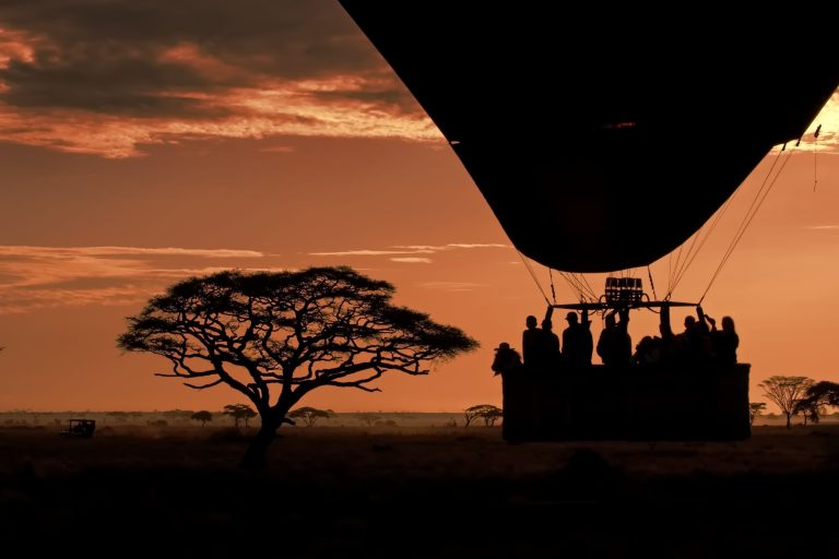 Group of people standing in a hot air balloon soaring above a lush green forest below
