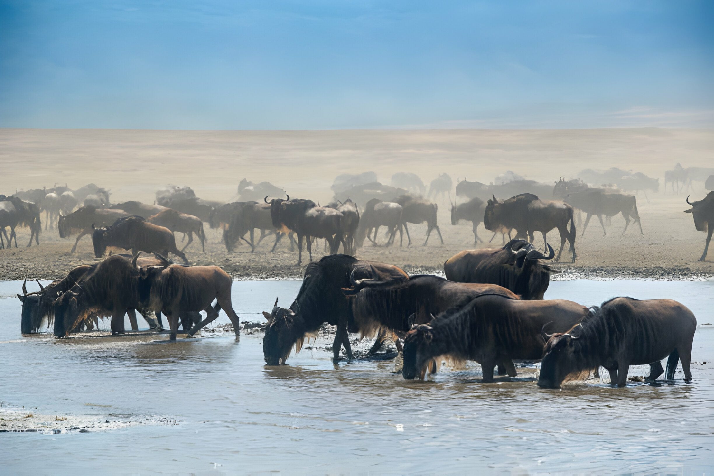 Tanzania Adventure Safaris